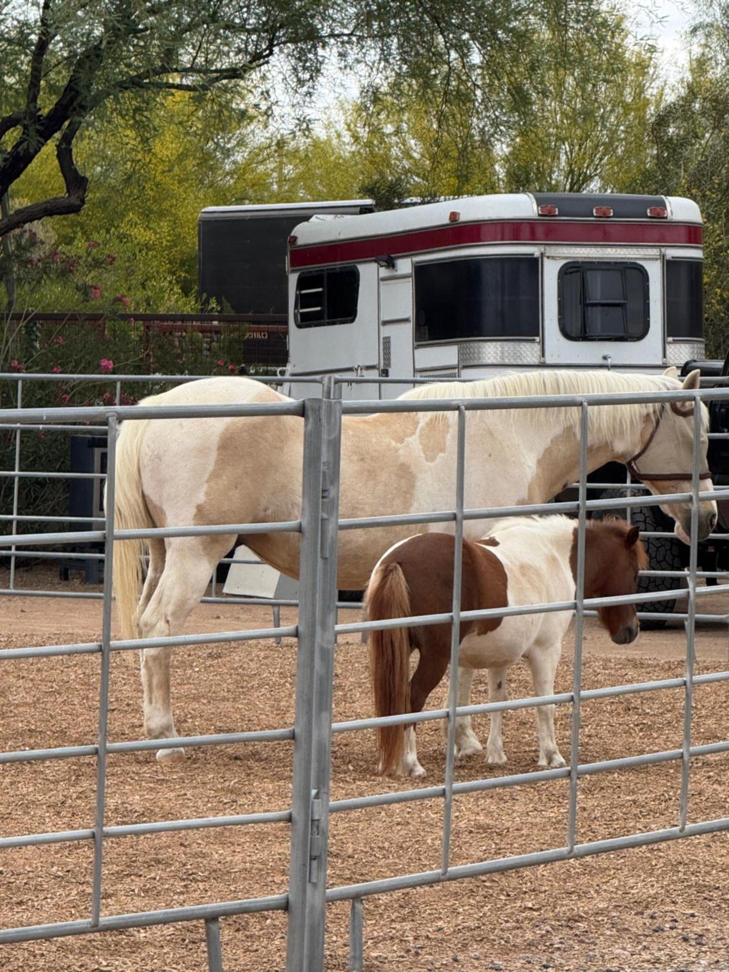 Holiday park Horseshoe Tiny Scottsdale