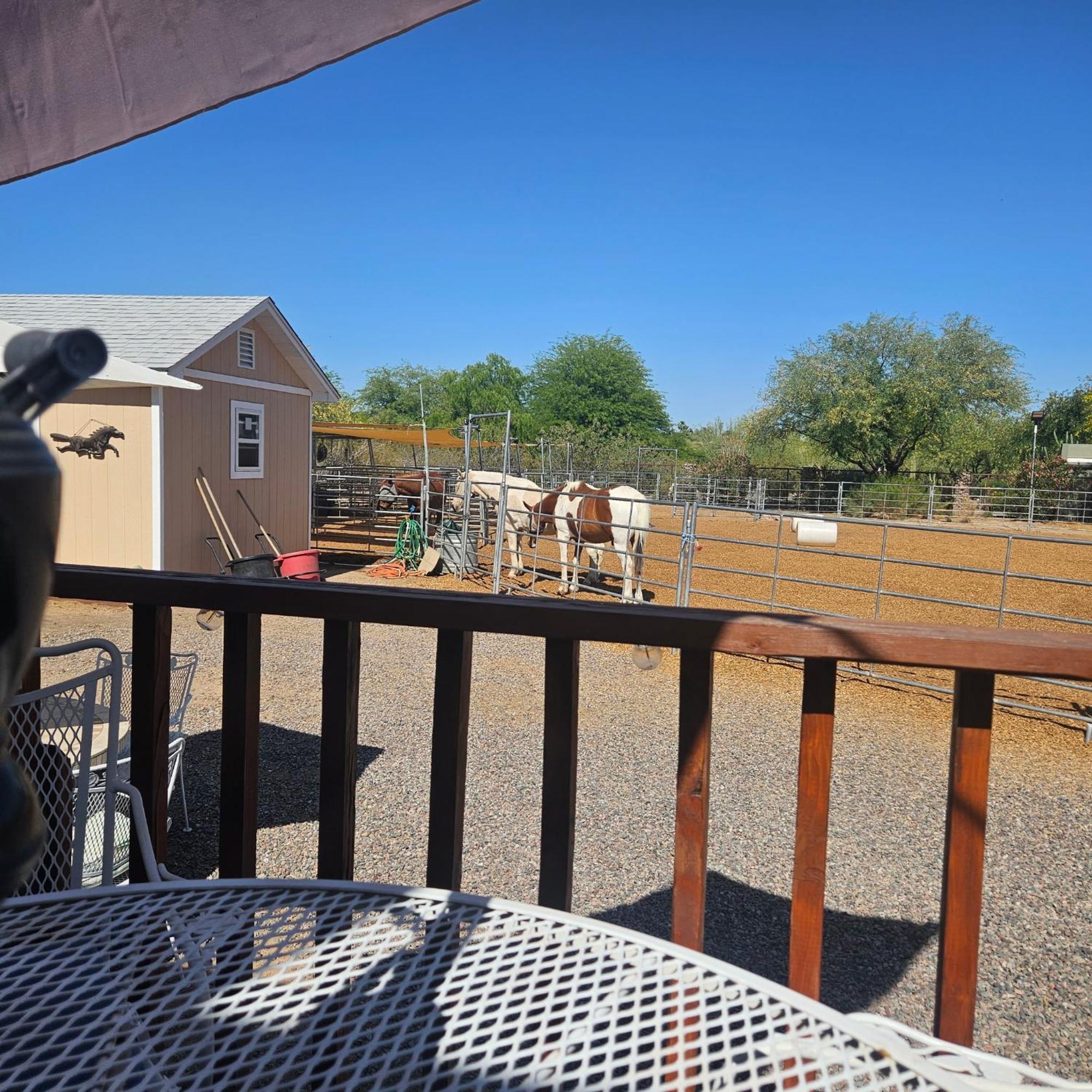 Holiday park Horseshoe Tiny Scottsdale