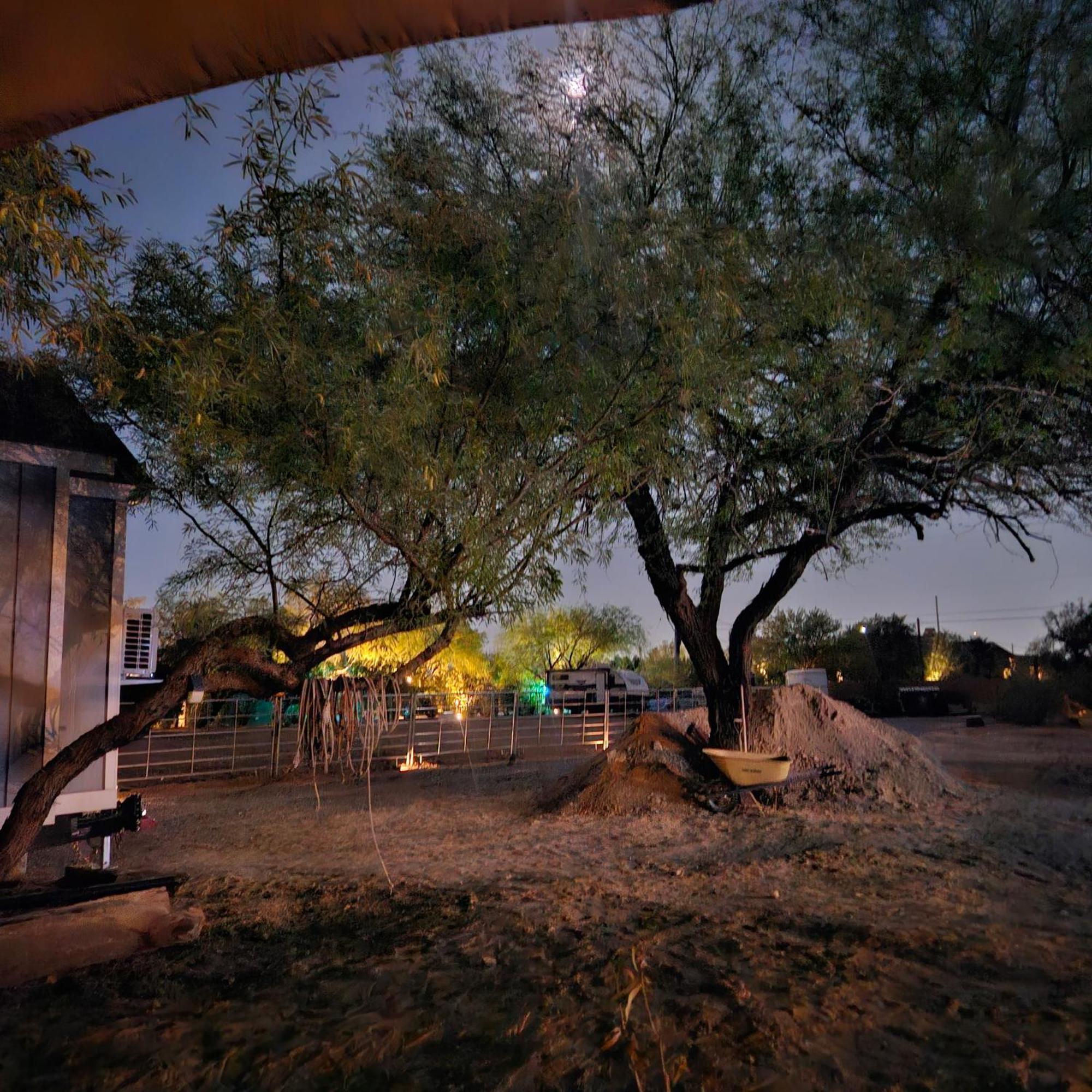 Horseshoe Tiny * Scottsdale